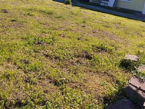 участок по адресу Шестакова