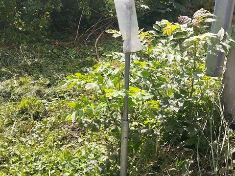 дом по адресу Центральнаа, 47