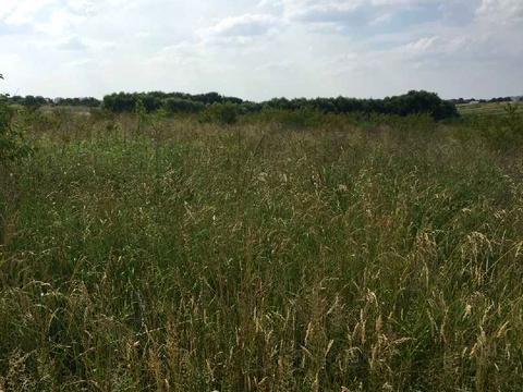 участок по адресу Ивана Франко ул.