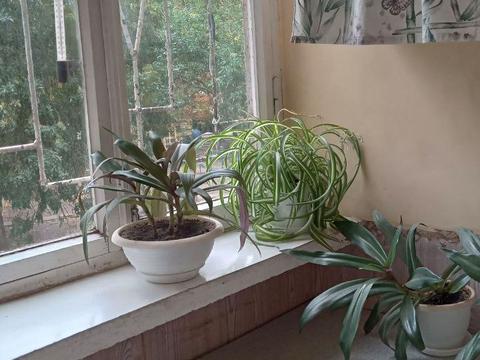 квартира за адресою Одеса, Академіка Корольова вул., 112/3