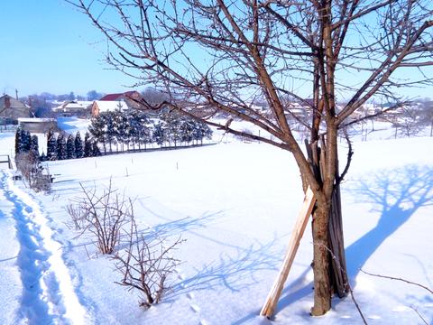 будинок за адресою Центральна