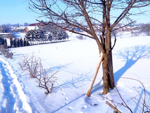 будинок за адресою Центральна