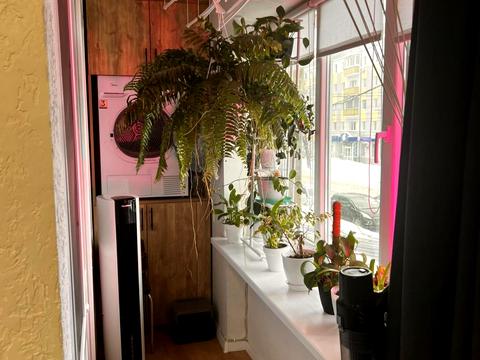 квартира за адресою Київська вул., 64