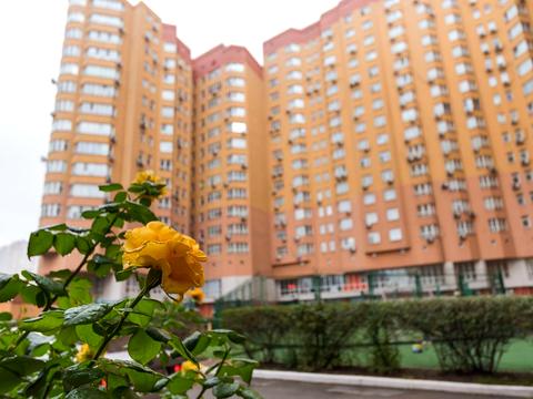 квартира за адресою Олександра Мишуги вул., 2