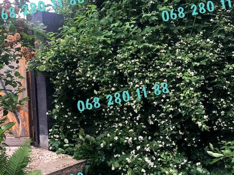 дом по адресу Дубківська