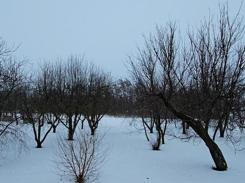 дом по адресу Небесної Сотні