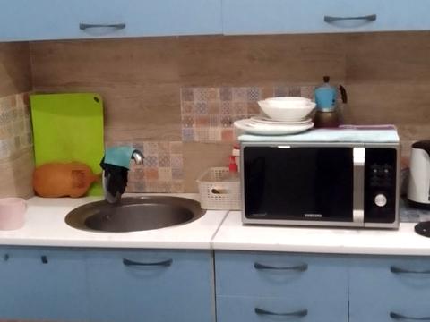 квартира за адресою Лісківська вул., 23