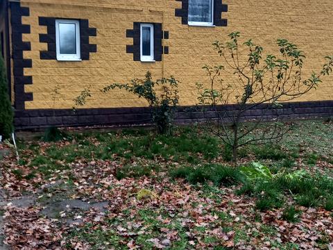 будинок за адресою Козацька