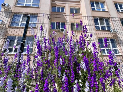 квартира за адресою Шкільна вул., 10