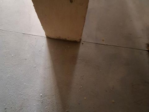 квартира по адресу Университетская ул., 1-В