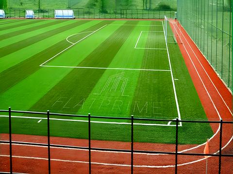 ділянка за адресою Світла вул., 5