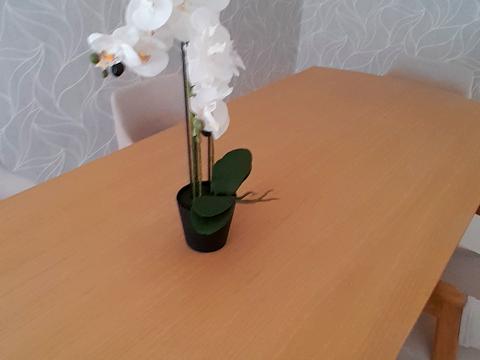 дом по адресу Черновцы, Академічна ул. (Челябінська)