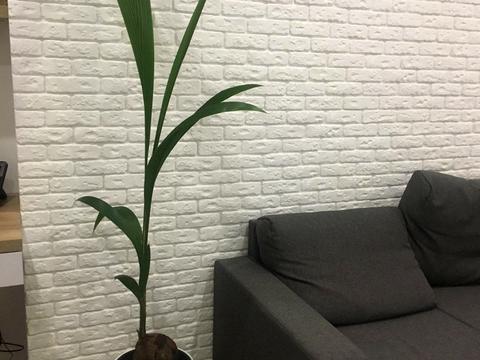 квартира за адресою Іскринський пров., 19в