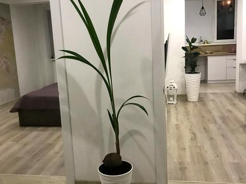 квартира за адресою Іскринський пров., 19в