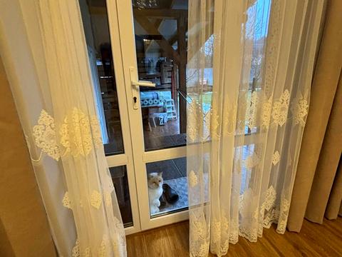 будинок за адресою Волошина