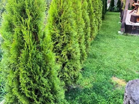 будинок за адресою с. Бартатів, Затишна