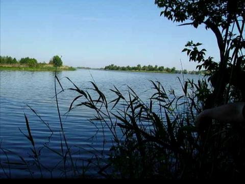 ділянка за адресою Старокиївська