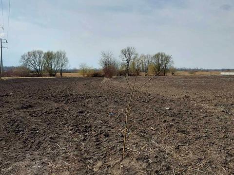 участок по адресу Сонячна, 2