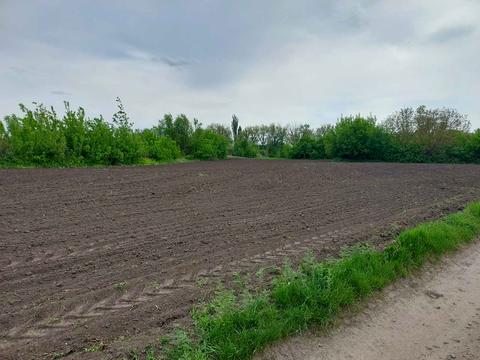 участок по адресу Вишнева, 1