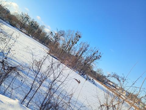 ділянка за адресою Героїв України, 15