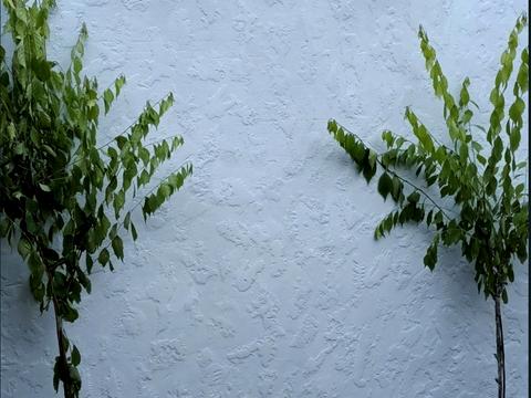 будинок за адресою Дніпро, Весела вул.