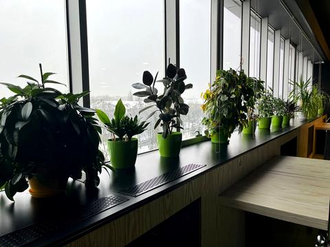 комерційна за адресою Вацлава Гавела бульв. (Івана Лепсе), 23