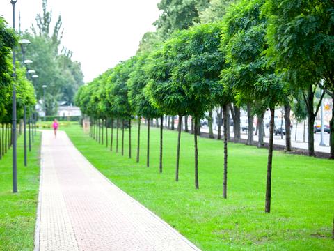 квартира за адресою Мрії вул. (Академіка Туполєва), 16-А