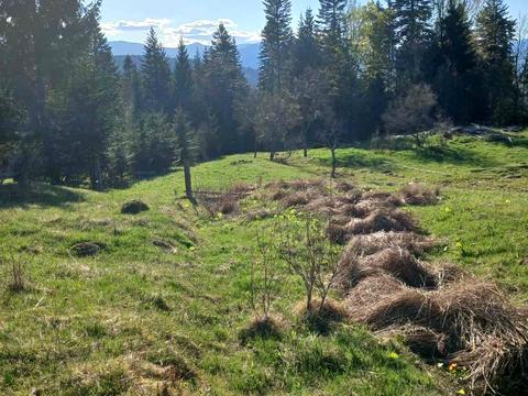 участок по адресу 