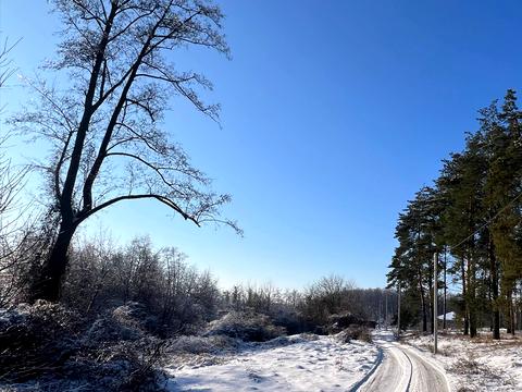 ділянка за адресою Береговий пров.