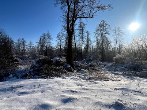 участок по адресу Береговий пров.