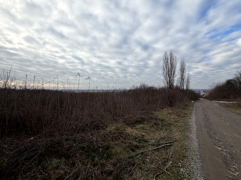 ділянка за адресою Мукачівська