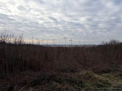 ділянка за адресою Мукачівська