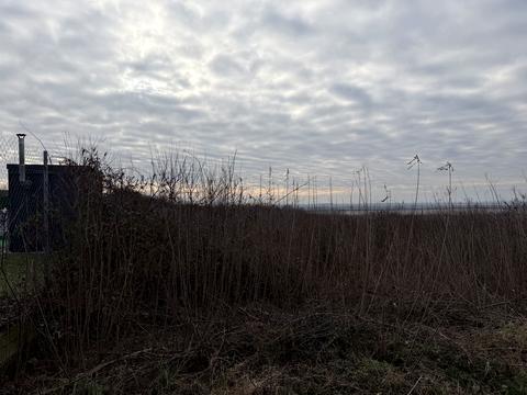 ділянка за адресою Мукачівська