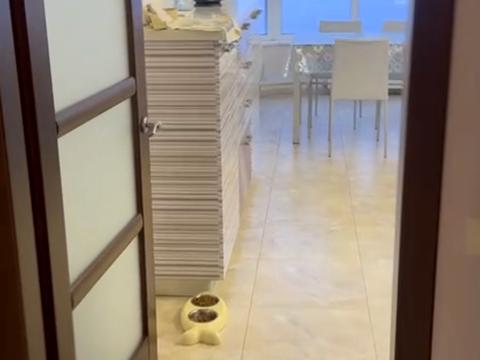 квартира по адресу Академика Глушко просп., 32