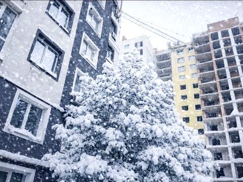 квартира по адресу Тихого пер., 2 к2