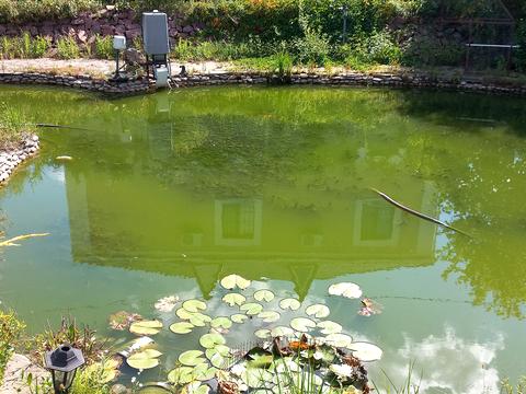 дом по адресу Героїв у ул., 1