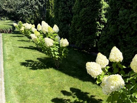 будинок за адресою пров Учительський, 22 а