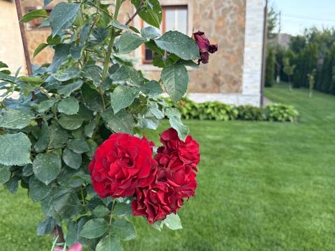 будинок за адресою пров Учительський, 22 а