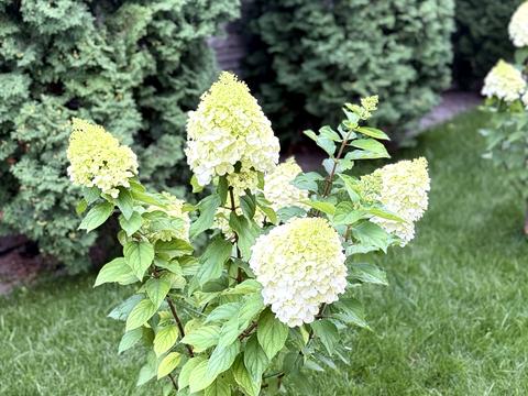 будинок за адресою пров Учительський, 22 а