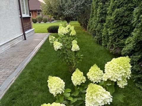 будинок за адресою пров Учительський, 22 а