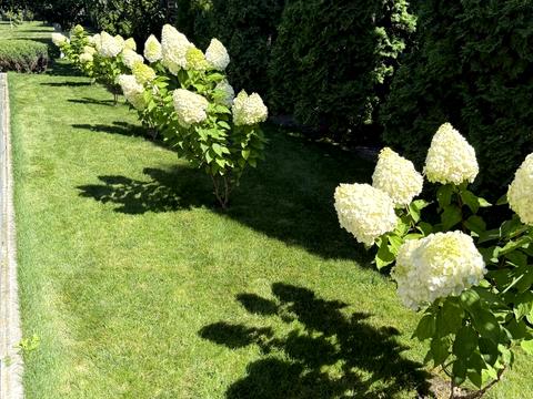 будинок за адресою пров Учительський, 22 а