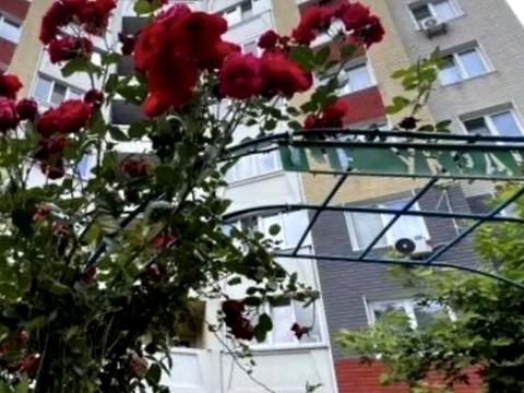 квартира за адресою Юлії Здановської вул. (Ломоносова), 85