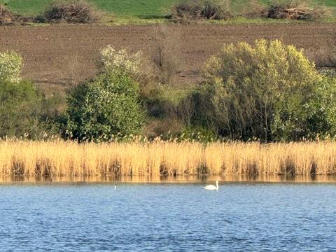дом по адресу Аврора, 10