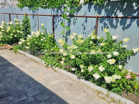 дом по адресу Героев Сталинграда просп.