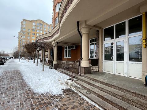 коммерческая по адресу с. Софиевская борщаговка, Боголюбова ул., 38