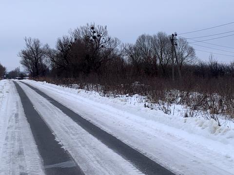 ділянка за адресою с. Дроговиж, Тараса Шевченка вул.