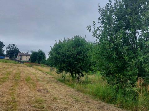 участок по адресу 