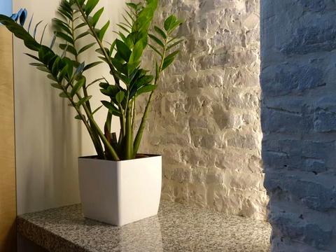 квартира по адресу Князя Ярослава Осмомысла пл., 10