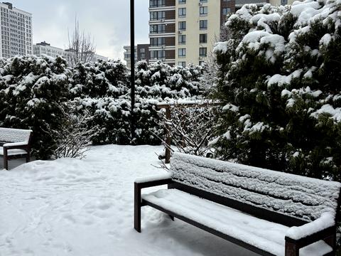 квартира за адресою Березова вул., 43