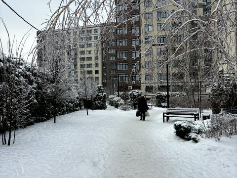 квартира за адресою Березова вул., 43